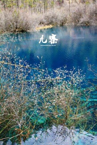 探索蜗牛世界 | 孩子上课打架怎么办?蜗牛问答平台